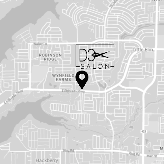 D3 Salon Map for Website